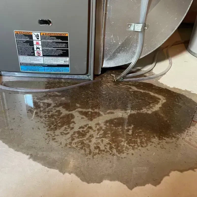 Appliance Leak Cleanup in Keyes, CA